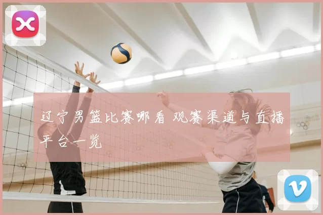 辽宁男篮比赛哪看 观赛渠道与直播平台一览